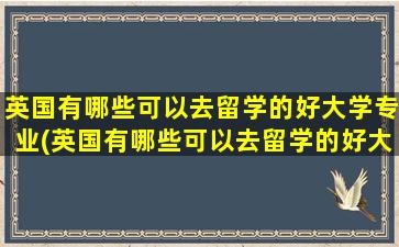 英国有哪些可以去留学的好大学专业(英国有哪些可以去留学的好大学名单)