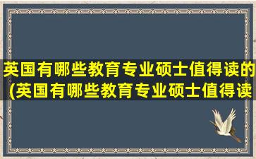 英国有哪些教育专业硕士值得读的(英国有哪些教育专业硕士值得读的)