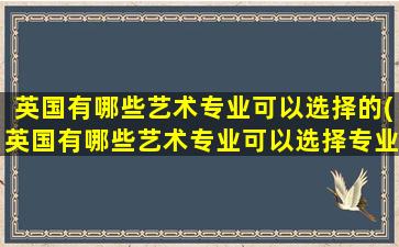 英国有哪些艺术专业可以选择的(英国有哪些艺术专业可以选择专业)