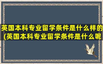 英国本科专业留学条件是什么样的(英国本科专业留学条件是什么呢)