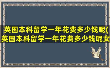 英国本科留学一年花费多少钱呢(英国本科留学一年花费多少钱呢女生)