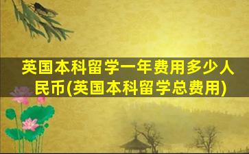 英国本科留学一年费用多少人民币(英国本科留学总费用)