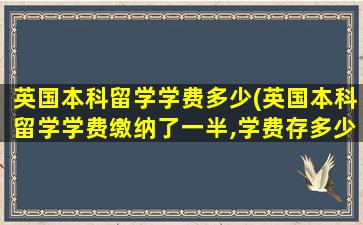 英国本科留学学费多少(英国本科留学学费缴纳了一半,学费存多少钱)