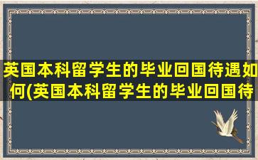 英国本科留学生的毕业回国待遇如何(英国本科留学生的毕业回国待遇是多少)