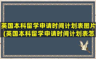 英国本科留学申请时间计划表图片(英国本科留学申请时间计划表怎么填)