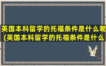 英国本科留学的托福条件是什么呢(英国本科留学的托福条件是什么意思)