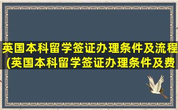 英国本科留学签证办理条件及流程(英国本科留学签证办理条件及费用)