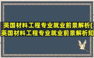 英国材料工程专业就业前景解析(英国材料工程专业就业前景解析知乎)