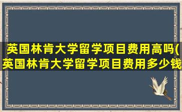 英国林肯大学留学项目费用高吗(英国林肯大学留学项目费用多少钱)