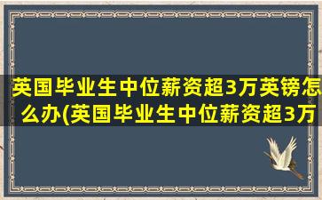 英国毕业生中位薪资超3万英镑怎么办(英国毕业生中位薪资超3万英镑怎么算)