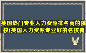 英国热门专业人力资源排名高的院校(英国人力资源专业好的名校有几个)