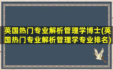 英国热门专业解析管理学博士(英国热门专业解析管理学专业排名)