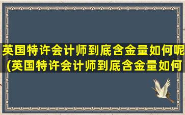 英国特许会计师到底含金量如何呢(英国特许会计师到底含金量如何呢视频)