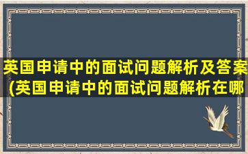 英国申请中的面试问题解析及答案(英国申请中的面试问题解析在哪里)