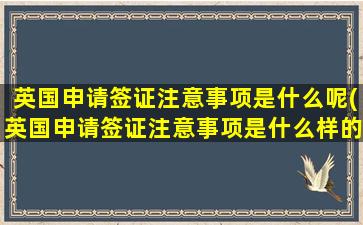 英国申请签证注意事项是什么呢(英国申请签证注意事项是什么样的)