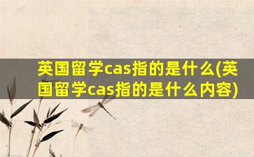 英国留学cas指的是什么(英国留学cas指的是什么内容)