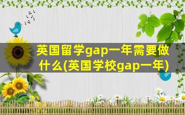 英国留学gap一年需要做什么(英国学校gap一年)