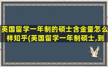 英国留学一年制的硕士含金量怎么样知乎(英国留学一年制硕士,到底值不值)