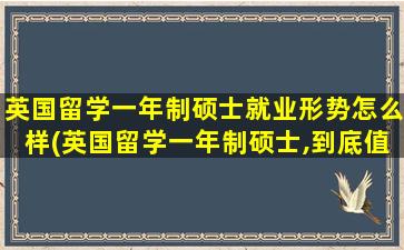 英国留学一年制硕士就业形势怎么样(英国留学一年制硕士,到底值不值)