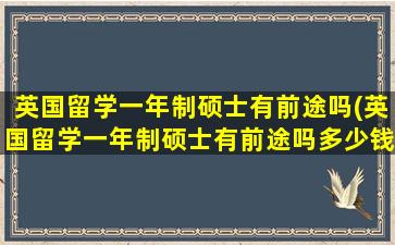 英国留学一年制硕士有前途吗(英国留学一年制硕士有前途吗多少钱)