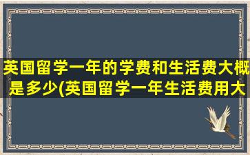 英国留学一年的学费和生活费大概是多少(英国留学一年生活费用大概要多少)