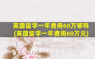 英国留学一年费用60万够吗(英国留学一年费用60万元)
