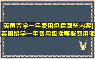 英国留学一年费用包括哪些内容(英国留学一年费用包括哪些费用呢)