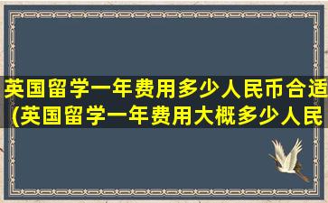 英国留学一年费用多少人民币合适(英国留学一年费用大概多少人民币)