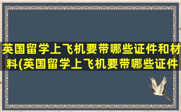 英国留学上飞机要带哪些证件和材料(英国留学上飞机要带哪些证件去)