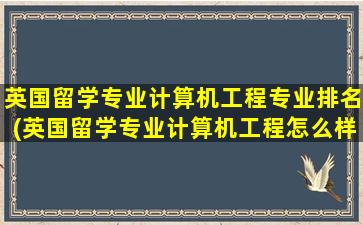 英国留学专业计算机工程专业排名(英国留学专业计算机工程怎么样)