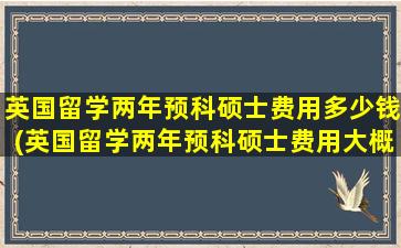 英国留学两年预科硕士费用多少钱(英国留学两年预科硕士费用大概多少)