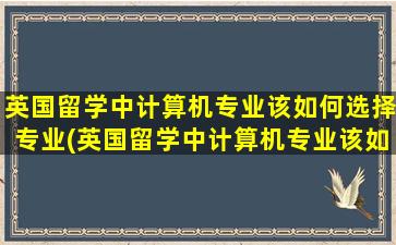 英国留学中计算机专业该如何选择专业(英国留学中计算机专业该如何选择学校)