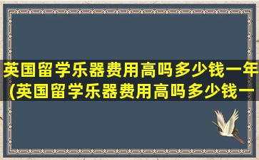 英国留学乐器费用高吗多少钱一年(英国留学乐器费用高吗多少钱一个月)