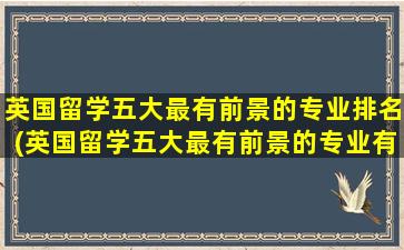 英国留学五大最有前景的专业排名(英国留学五大最有前景的专业有哪些)