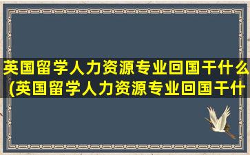 英国留学人力资源专业回国干什么(英国留学人力资源专业回国干什么)