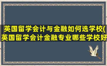 英国留学会计与金融如何选学校(英国留学会计金融专业哪些学校好)