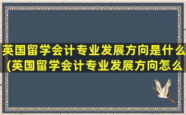 英国留学会计专业发展方向是什么(英国留学会计专业发展方向怎么样)