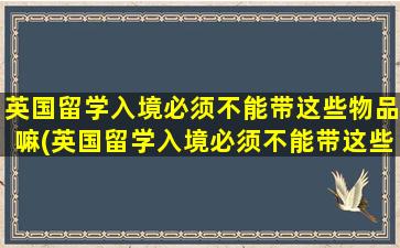 英国留学入境必须不能带这些物品嘛(英国留学入境必须不能带这些物品进去吗)