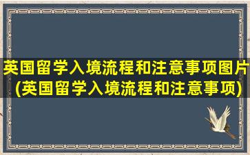 英国留学入境流程和注意事项图片(英国留学入境流程和注意事项)