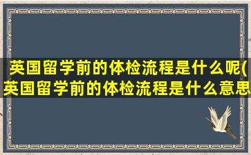 英国留学前的体检流程是什么呢(英国留学前的体检流程是什么意思)