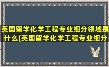 英国留学化学工程专业细分领域是什么(英国留学化学工程专业细分领域研究)