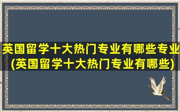 英国留学十大热门专业有哪些专业(英国留学十大热门专业有哪些)