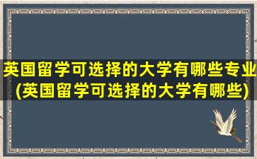 英国留学可选择的大学有哪些专业(英国留学可选择的大学有哪些)