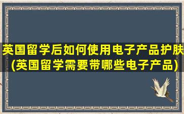 英国留学后如何使用电子产品护肤(英国留学需要带哪些电子产品)