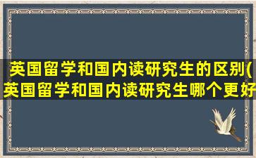 英国留学和国内读研究生的区别(英国留学和国内读研究生哪个更好)