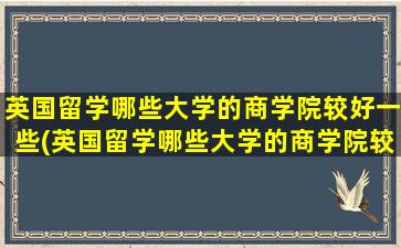 英国留学哪些大学的商学院较好一些(英国留学哪些大学的商学院较好)