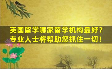 英国留学哪家留学机构最好？专业人士将帮助您抓住一切！