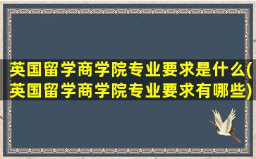 英国留学商学院专业要求是什么(英国留学商学院专业要求有哪些)