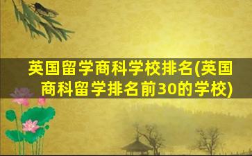 英国留学商科学校排名(英国商科留学排名前30的学校)