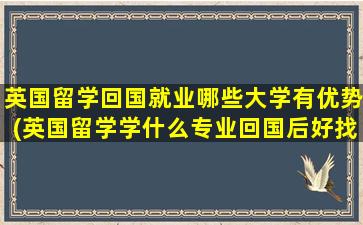 英国留学回国就业哪些大学有优势(英国留学学什么专业回国后好找工作)